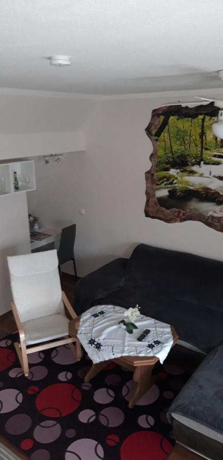 Ferienapartment-Monteurwohnung-Muldestausee Pouch Exteriör bild